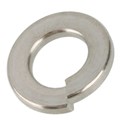 Lock Washer 1/4 in 304SS